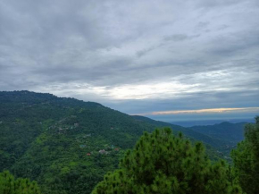 Pine Tree Kasauli I Serviced Villa I Toy Train I Best Seller I Guaranteed Best Price I Kasauli By Exotic Stays